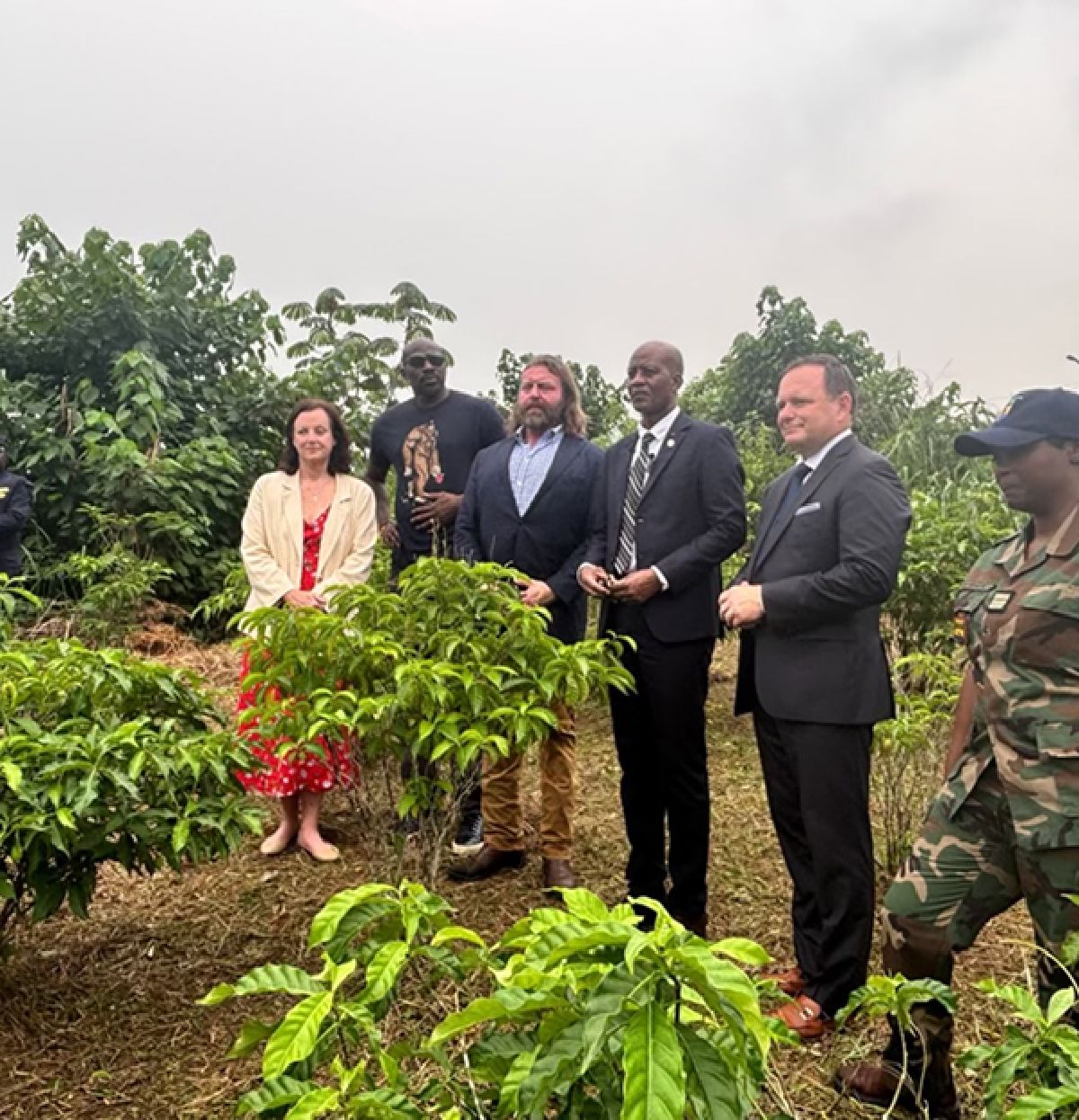 Americans for Ibogaine - The Science of Ibogaine - Home Image